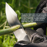 Oerla TAC OLF-1009 Fixed Blade Knife